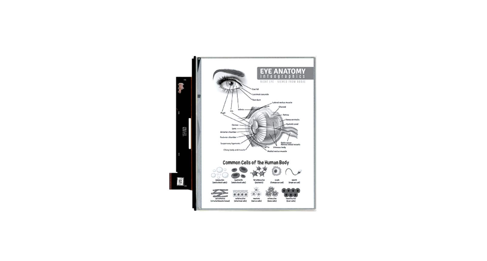 E Ink Carta 1400: a revolutionary new black and white e-ink screen for 2027